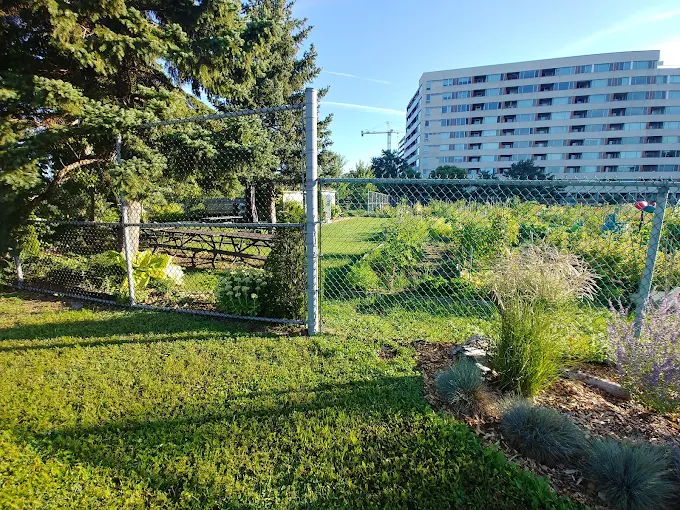 Vue de la clôture et des parcelles